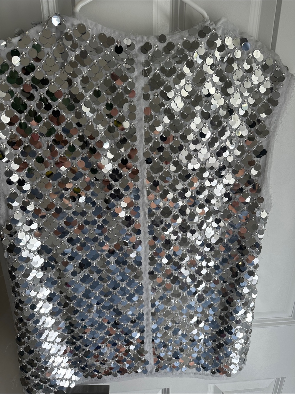 Zara Silver Sequin V-Neck Tank Top - Picture 9 of 10